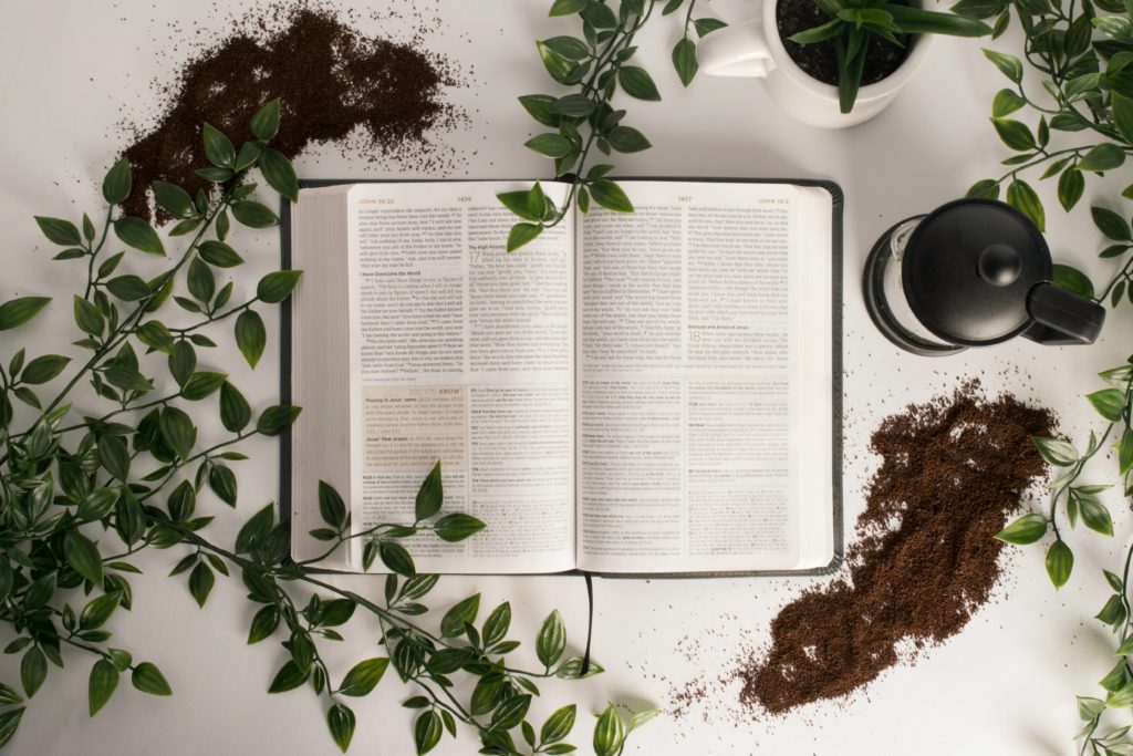 An open Bible surrounded by plants and dirt remind us that we grow in God's Word as we pray a morning prayer for a new week.