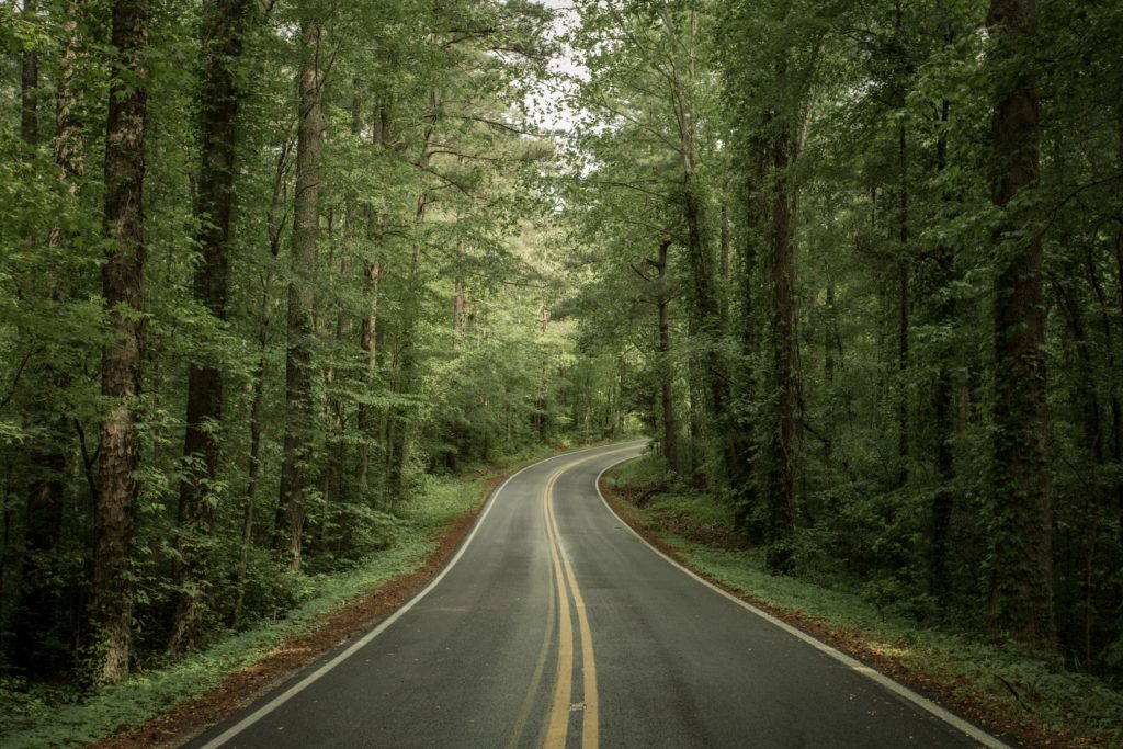 A quiet road winds through the woods, reminding you to pray a prayer for safe travels.