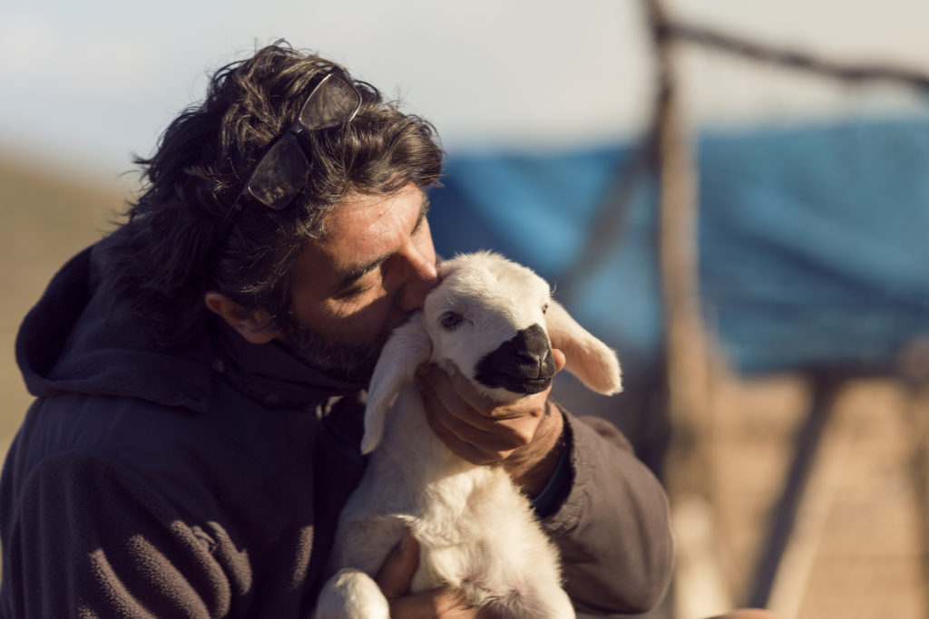 a shepherd finding his lost sheep knows that being relentlessly loved helps improve your mental health.
