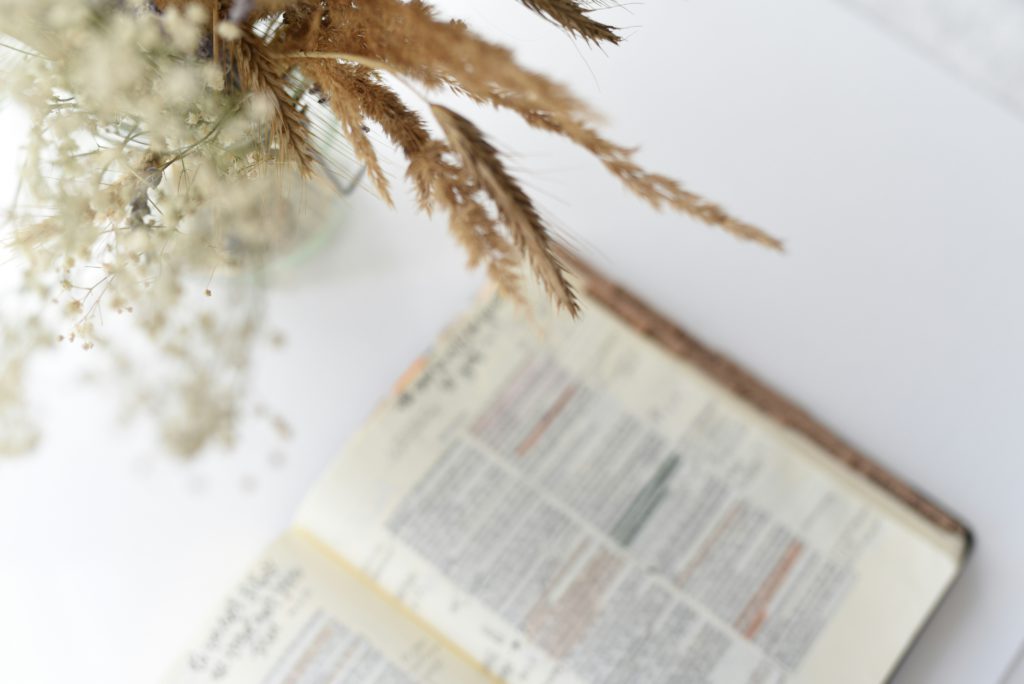 An open Bible next to a vase of dried grasses tells us that you get better sleep when you meditate on God's Word.