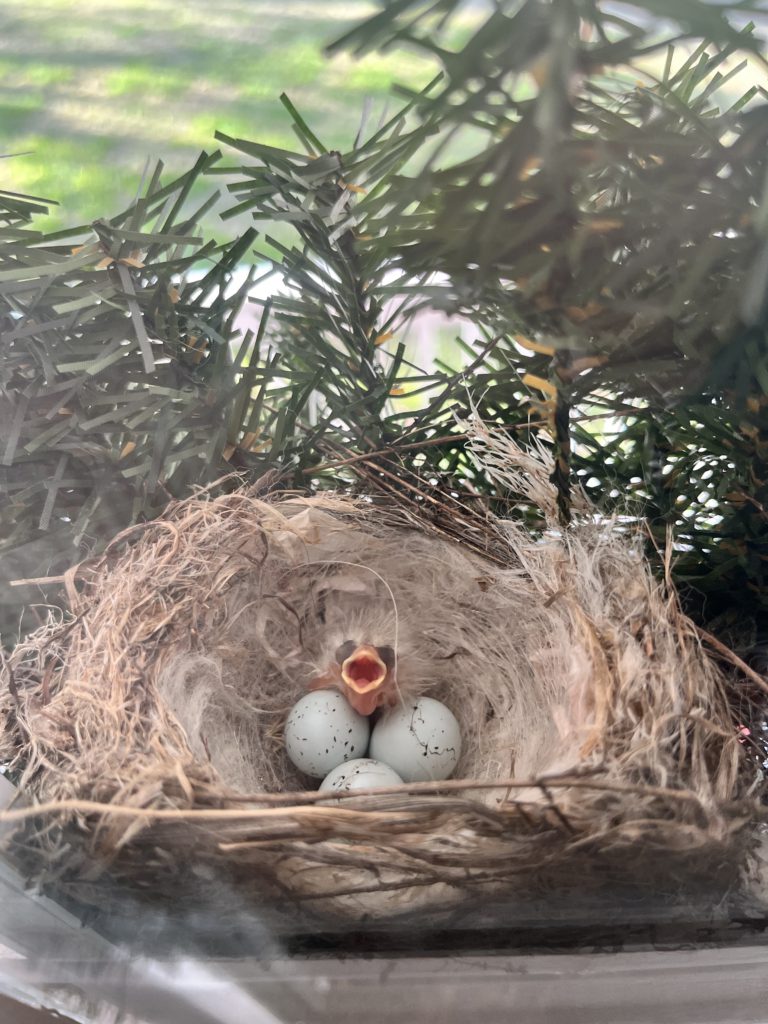 A baby bird in a nest with other eggs reminds us of God's magnificent presence.