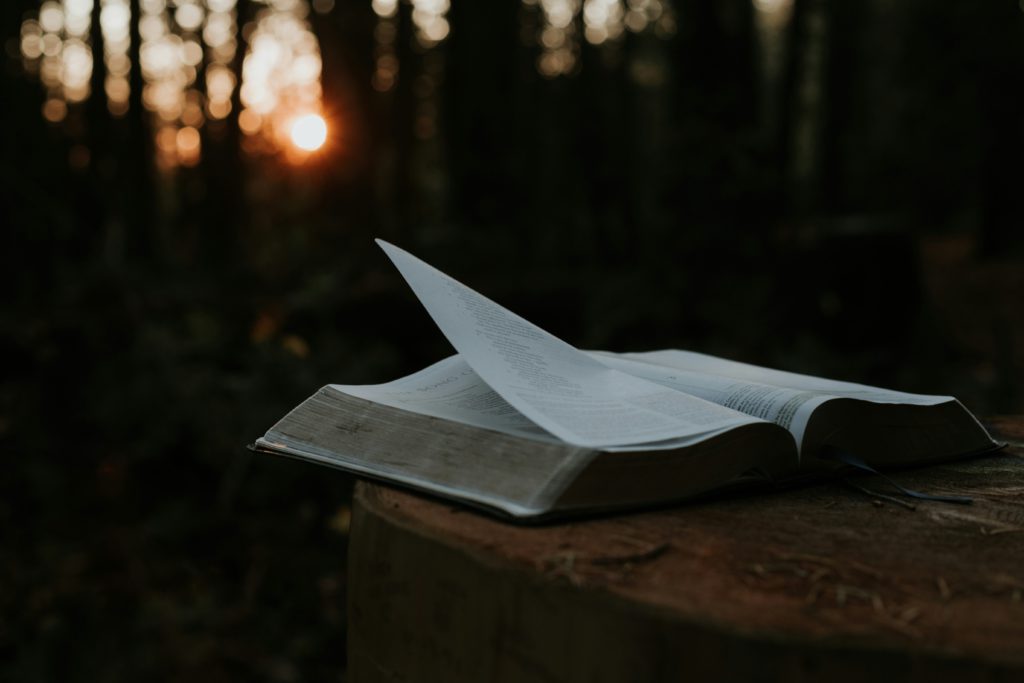 The pages of an open Bible flutter in a soft breeze at sunset showing where you can find solid ground.