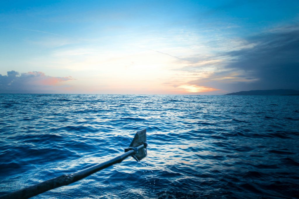 A paddle stands out of the water at sunrise showing there is strength in surrender.