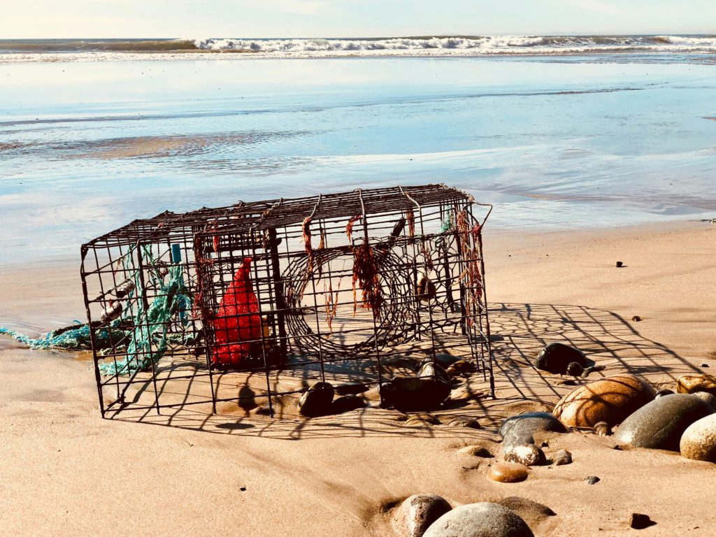 A crab trap on a beach reminds us how taking offense can keep us from moving from wounds to wisdom.