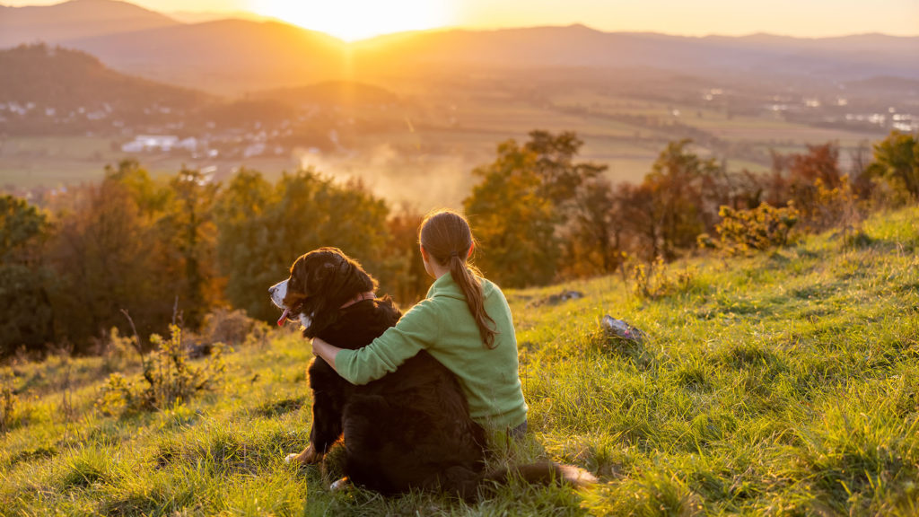 A woman and her Bernese Mountain dog look out over the hills at sunset learning what it means to be your authentic self.