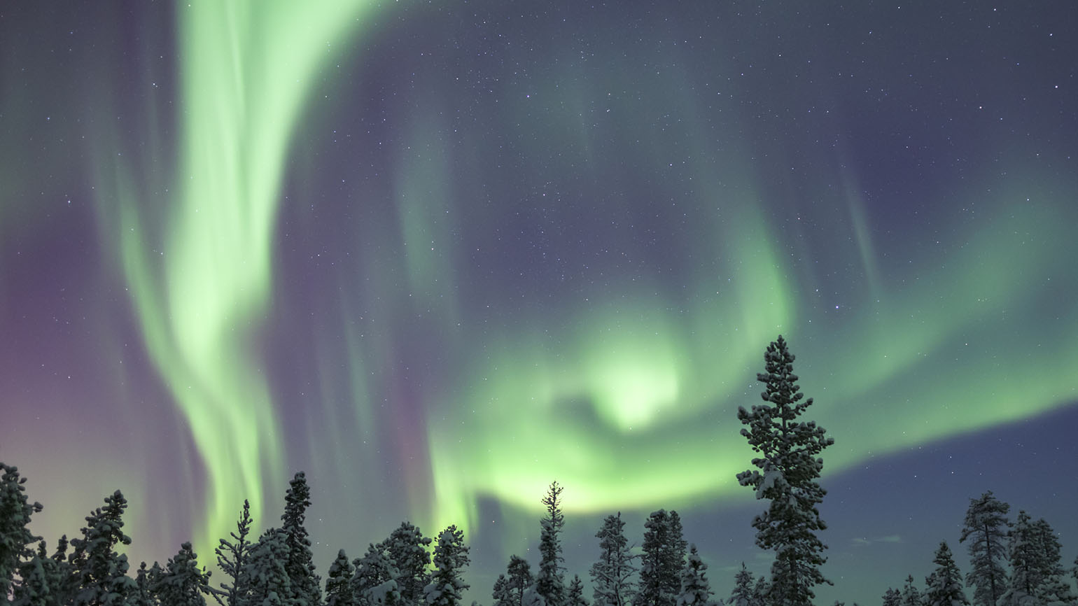 The aurora borealis shines in blues and greens above the trees showing us God's light.