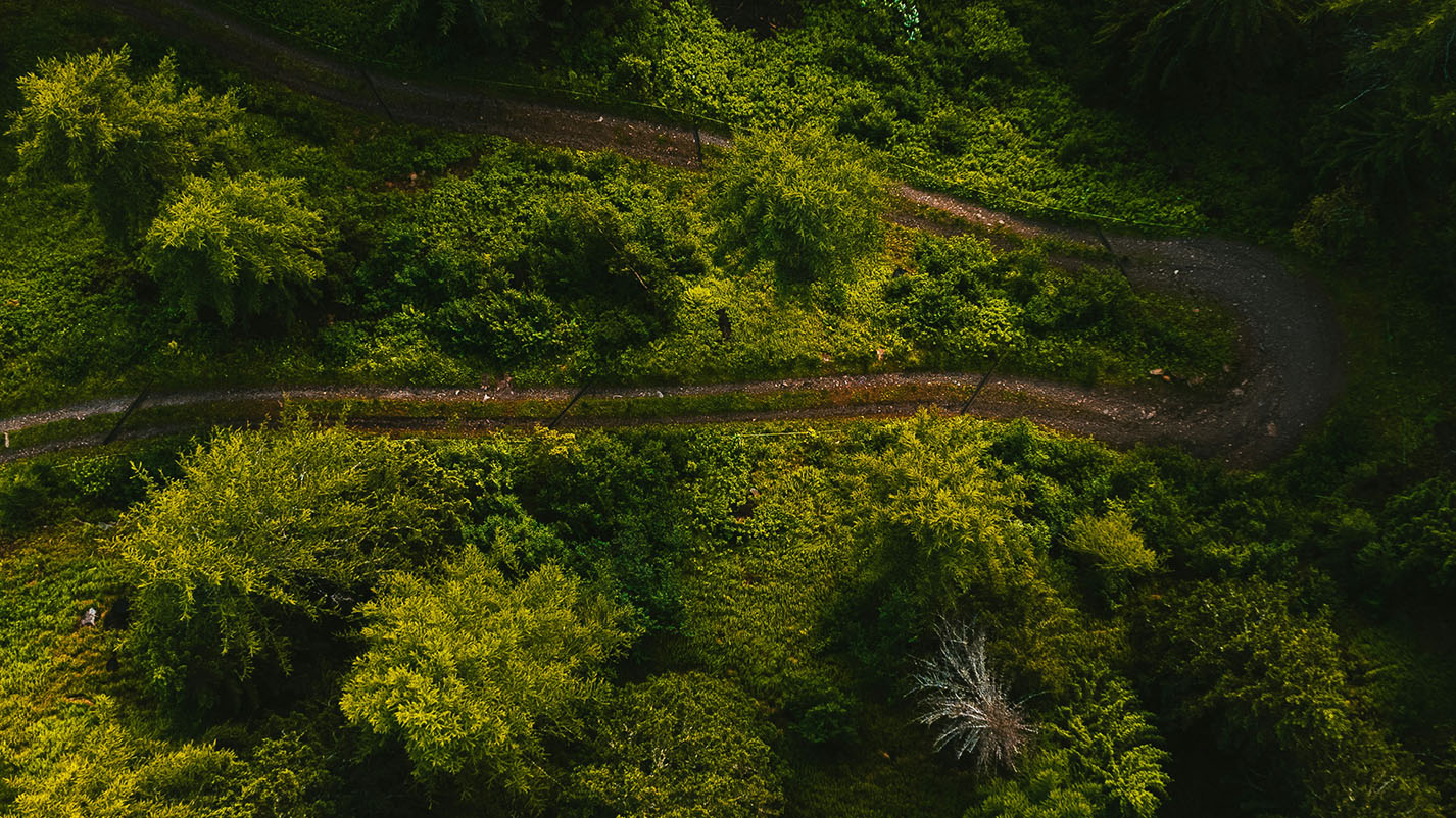An aerial view of two paths converging in the woods reminds us of what generations together can do.