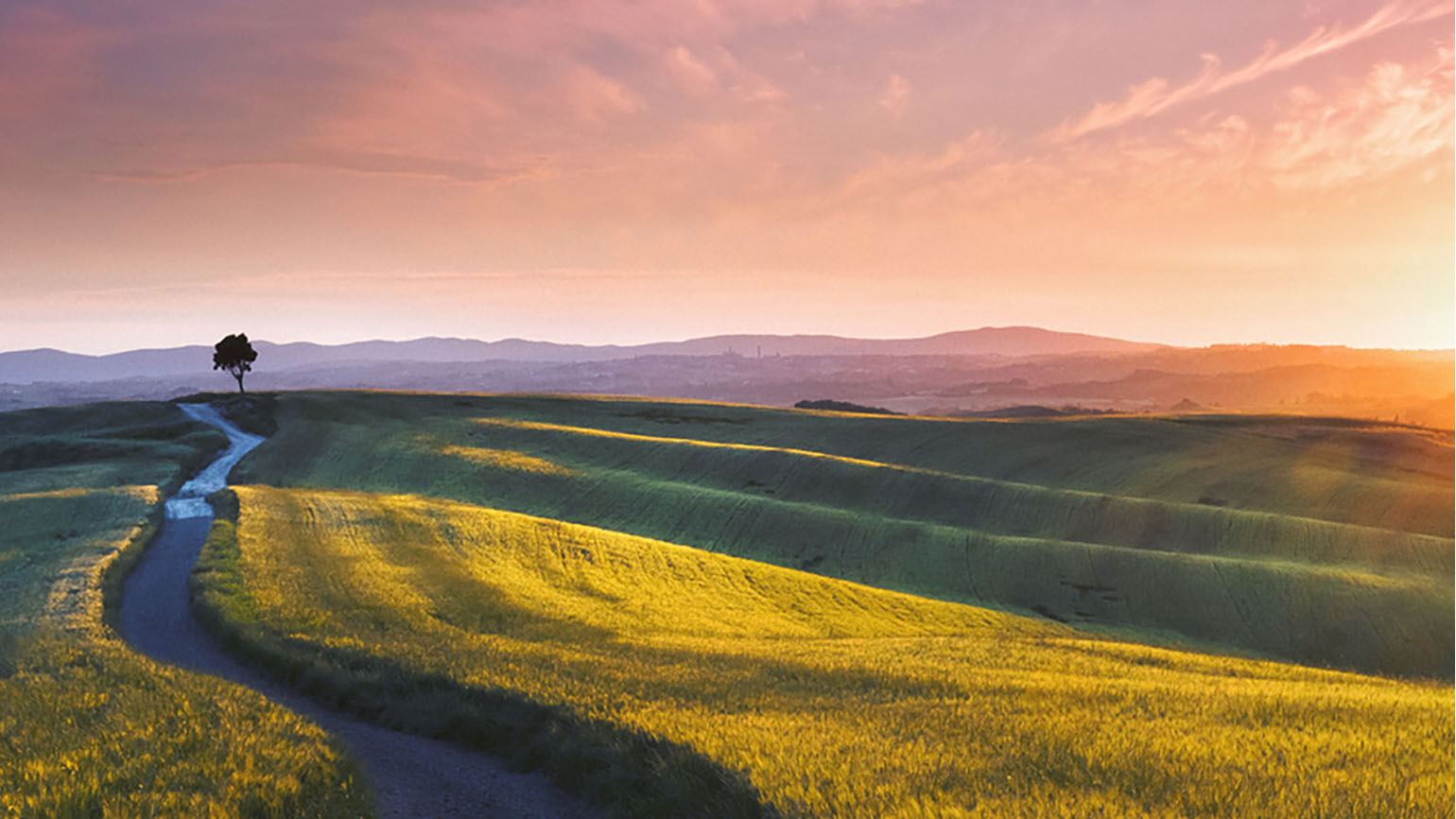 welcoming-the-prodigal-a-daily-meditation-abide