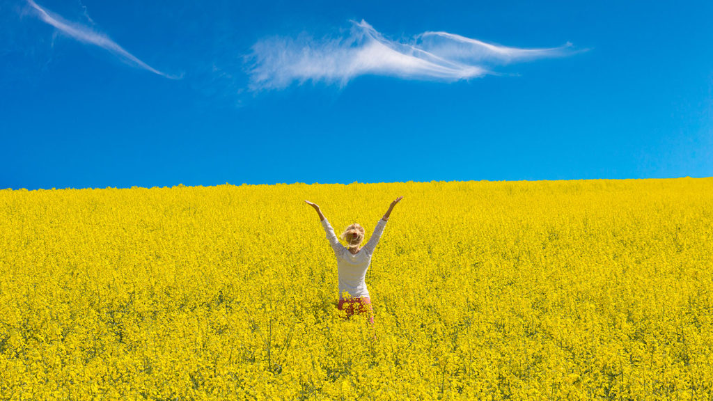 Royalty-free stock image: A woman experiences the touch of God in a field of yellow flowers; Getty Imges