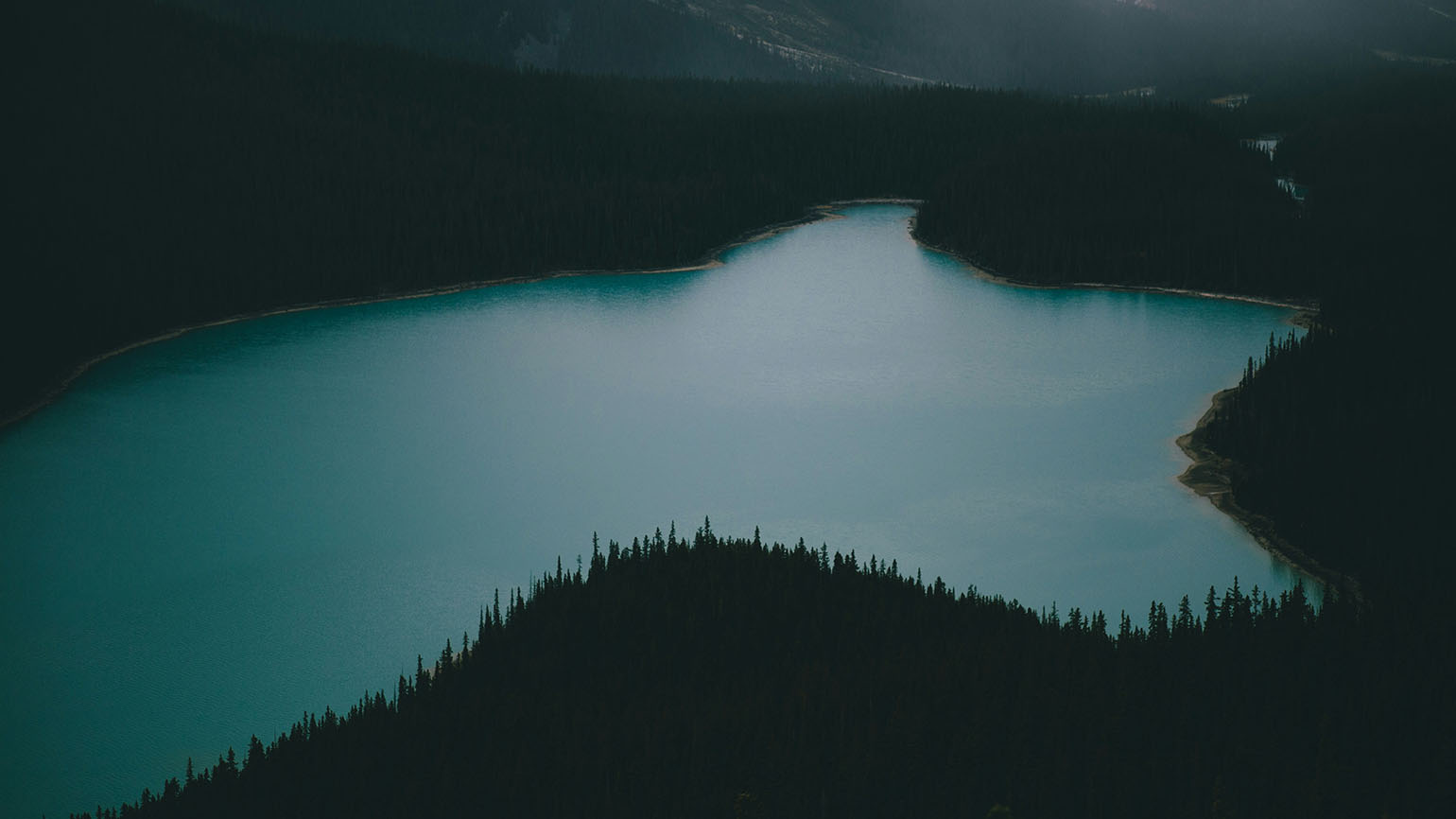 facing-chronic-fear-a-daily-meditation-abide