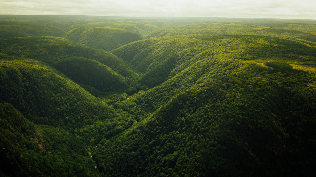 Verdant green hills remind us to experience God's peace over panic.