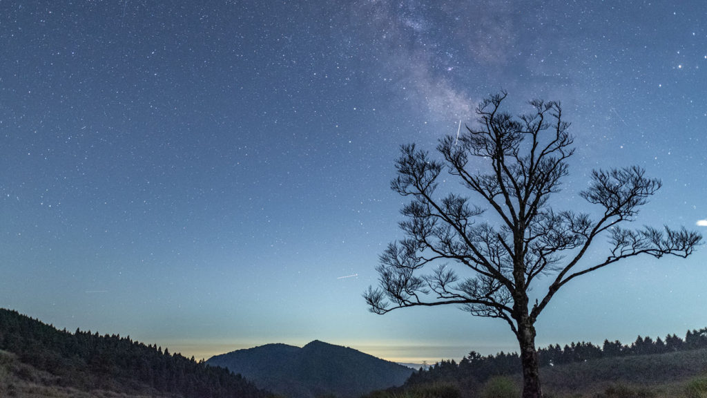 A lone tree stands under a starlit sky reminding you to try sleep hacks to get the rest you need.