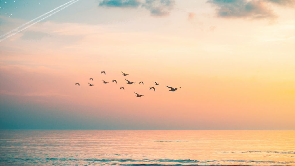 Birds fly in formation over the ocean at sunset reminding us of living under the influence of the Holy Spirit's leading.